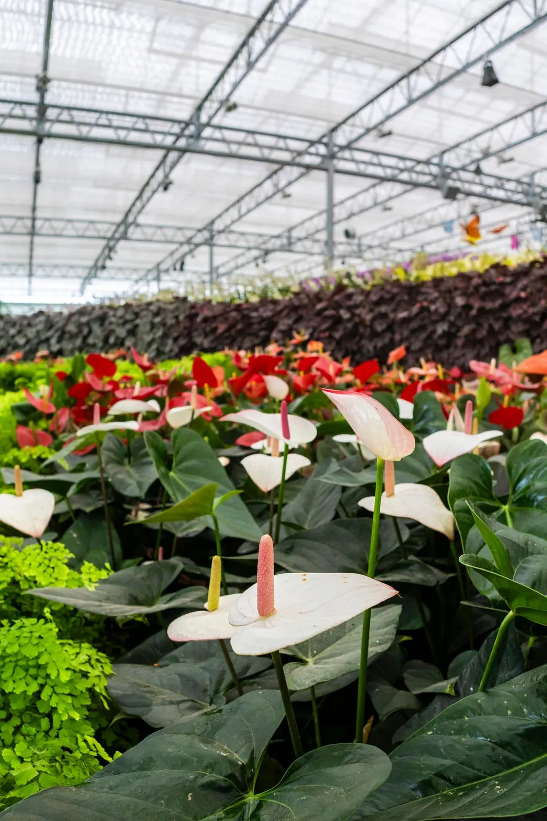 Eufloria Gardens & Sculpture Park – Garden of the Seasons