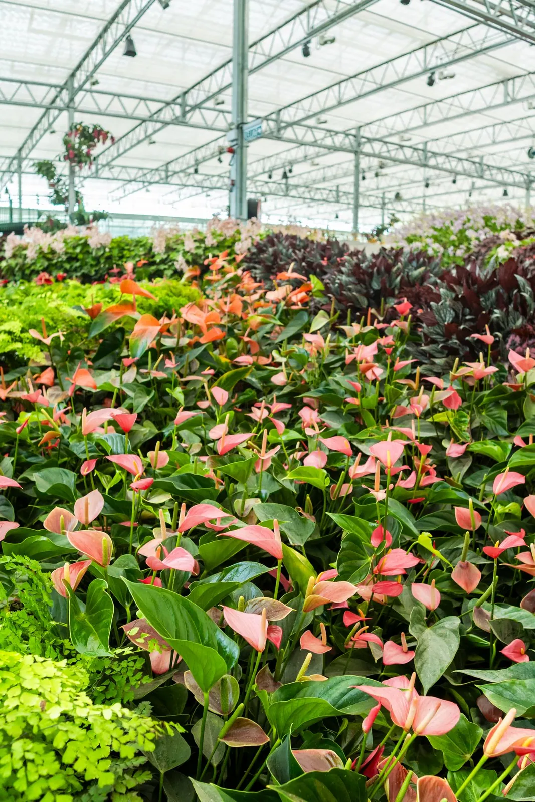 Eufloria Gardens & Sculpture Park – Garden of the Seasons