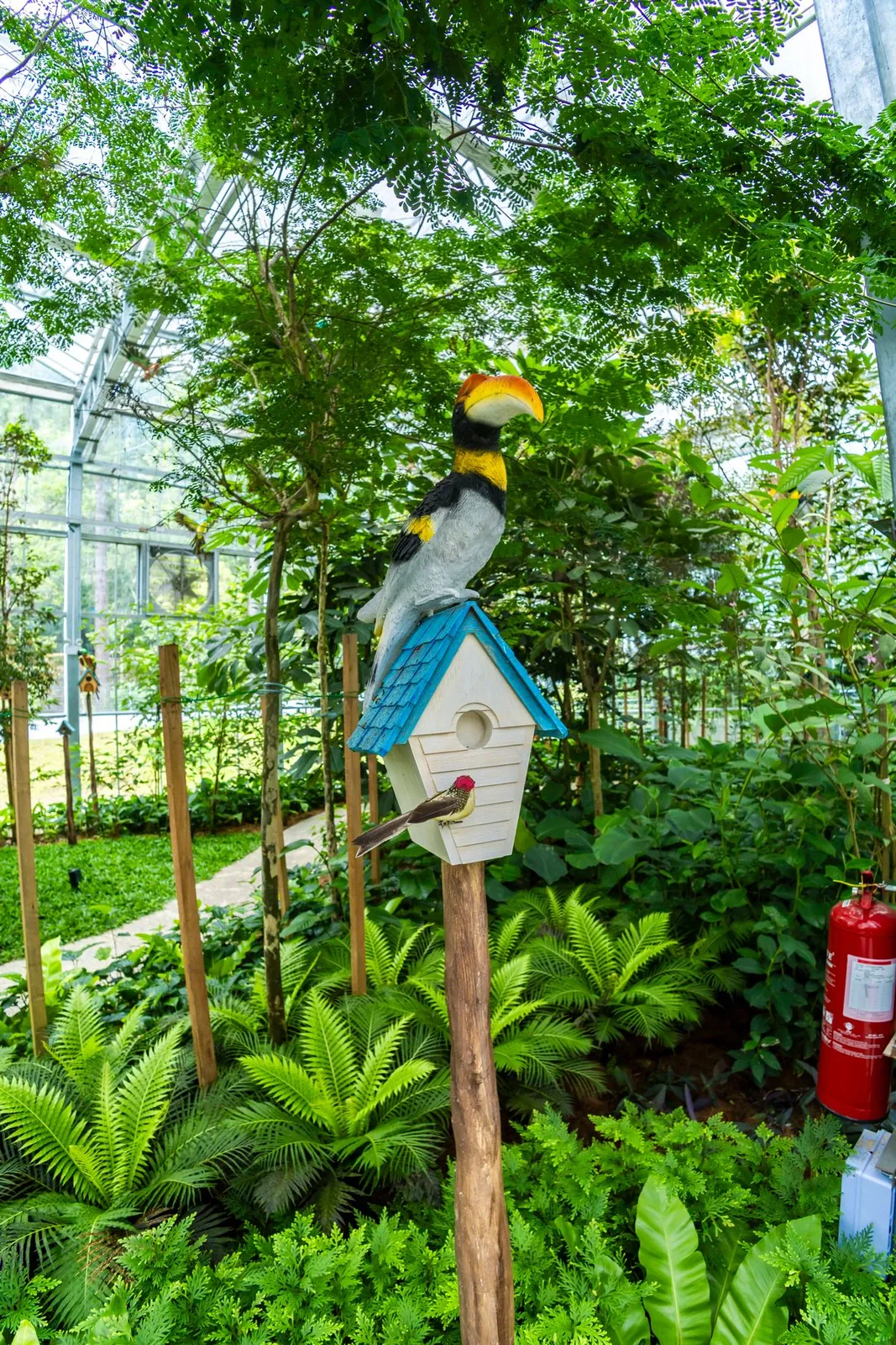 Eufloria Gardens & Sculpture Park – Rainforest Grove