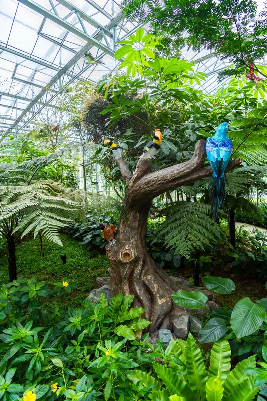 Eufloria Gardens & Sculpture Park – Rainforest Grove
