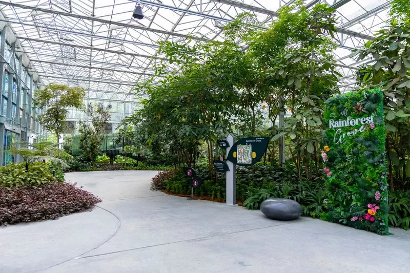 Eufloria Gardens & Sculpture Park – Rainforest Grove