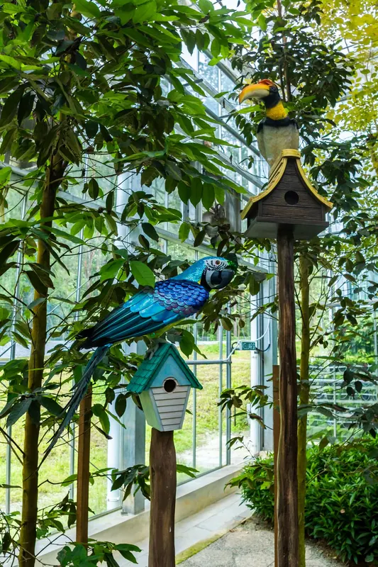Eufloria Gardens & Sculpture Park – Rainforest Grove