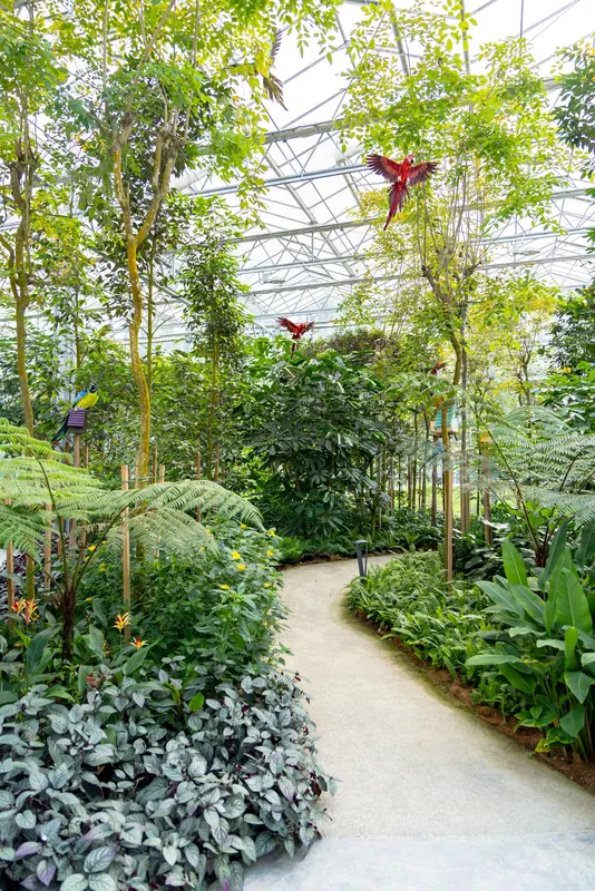 Eufloria Gardens & Sculpture Park – Rainforest Grove