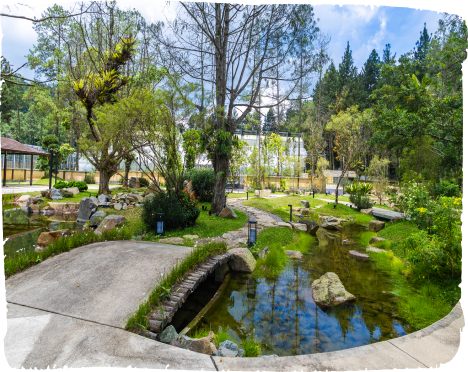 Harmony Garden 和园 (He Yuan)
