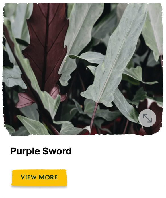Garden of the Seasons plant
